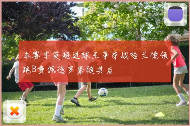 本赛季英超进球王争夺战哈兰德领跑B费佩德罗紧随其后