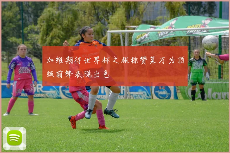 加维期待世界杯之旅称赞莱万为顶级前锋表现出色