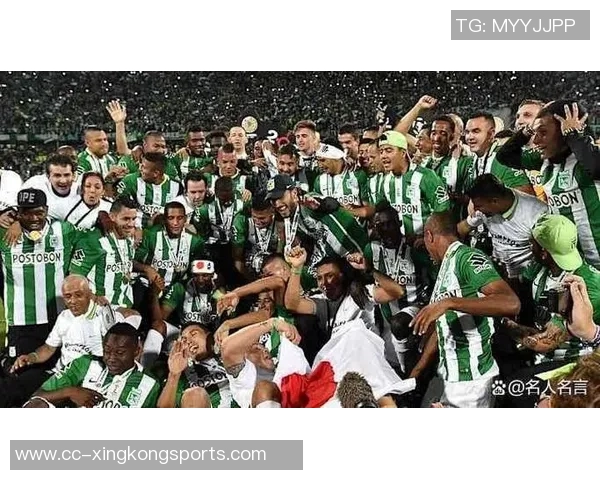 巴西球队展现统治力连续七年夺得南美解放者杯冠军荣耀